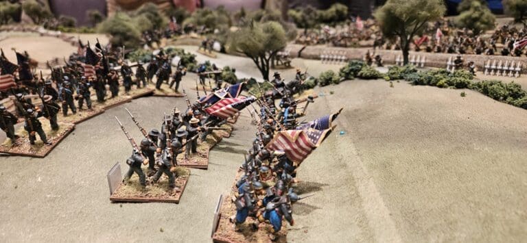 acw1-scaled.jpg